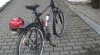 MOTOKOLO 50094_t.jpg