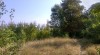 Pozemek, zahrada 3660 m2, Pchery -Humny, okr. Kladno 504154_t.jpg