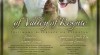 Štěňátka welsh corgi cardigan 504313_t.jpg
