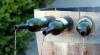 O víně - World of wines 507118_t.jpg