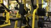 Fitness stroje 507503_t.jpg
