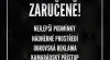 50 000-70 000Kč týdně! Zaručeně a diskrétně 513800_t.jpg