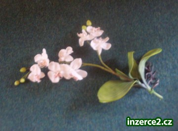 Umělá orchidej_1 521978_1.jpg
