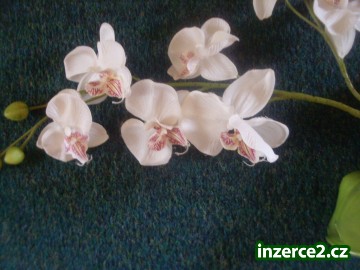 Umělá orchidej_2 521978_2.jpg