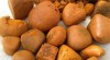 Koupit Kráva / Ox Gallstone & Kráva Hair Ball Na skladě @ (WhatsApp: +237673528224) 524961_t.jpg