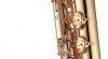 Yamaha YAS-82ZB Professional Alto Saxophone Black......$1000usd 70671_t.jpg