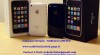 prodat: Apple iPhone 3GS 32GB,3G 16GB Unlocked 73569_t.jpg