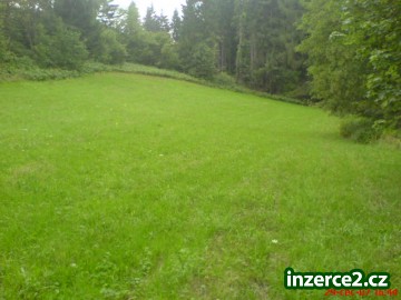 Pozemková parcela na Šumavě - u lesa_1 10313_1.jpg