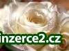 Práce z domu se smlouvou i pro maminky_1 103199_1.jpg