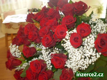 vhodny vydelek pro vsechny_2 110239_2.jpg