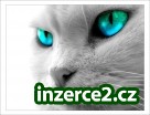 Práce z domu pro všechny_1 110615_1.jpg