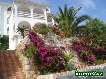 Vacaciones en Croacia La Isla Pag NOVALJA_1 11167_1.jpg