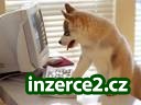 Přivýdělek na PC_1 112778_1.jpg