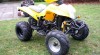 BASHAN 250 Dvoumístná 112893_t.jpg