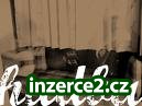 Vyberte si svoju liečivu ,exotericku hudbu!Pre ČR-SR!_2 115950_2.jpg