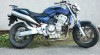 HONDA CB900F HORNET 1159_t.jpg
