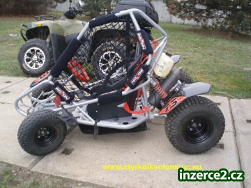 Buggy_1 118000_1.jpg