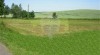 Prodej pozemku 4810m2 na slunném místě v Kocléřově 120008_t.jpg