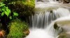 12087_t.jpg