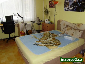 Prodej pěkného bytu 2+1 v OV v Cerekvici nad Bystřicí - Cerekvice nad Bystřicí_1 122824_1.jpg