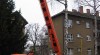 Kácení stromů,ořezy Ostrava Tel 608728530 Werner 124708_t.jpg
