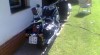 honda shadow 750c 12499_t.jpg