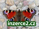 Hledáte zajímavý výdělek?_1 125941_1.jpg