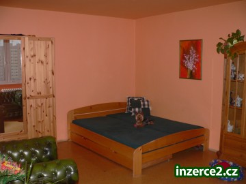 Prodej zrekontruovaného bytu 1+kk, OV, 33m2, Pardubice - centrum_1 135093_1.jpg