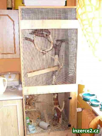 Terarium/klec_1 13516_1.jpg