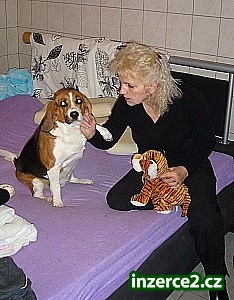 MUŽE s ODVAHOU a HUMOREM_1 135599_1.jpg