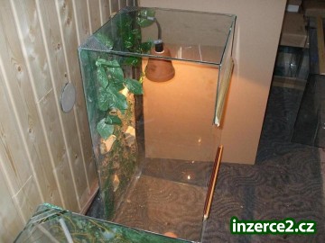 TERÁRIUM 96x44x44cn PRO CHAMELEONA_2 141259_2.jpg