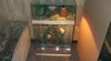 TERÁRIUM 96x44x44cn PRO CHAMELEONA 141259_t.jpg
