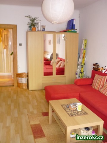 Prodej zrekonstruovaného bytu 1+1 (30 m2), Slovany_1 142295_1.jpg