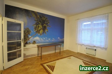 Pronájem bytu 1+kk P - 2 Vinohrady se zahradou_1 144692_1.jpg