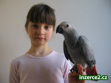 Žako_1 150817_1.jpg