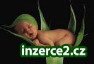 Po mateřské už nemusím do práce._1 153279_1.jpg