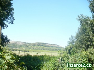 Vinohrad a ovocný sad Mikulov, okr. Břeclav_2 156322_2.jpg