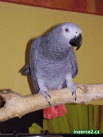 156544_1.jpg