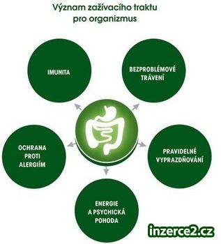 Trápí vás žlučník,kila navíc,zácpa?Nemusí!_2 158065_2.jpg