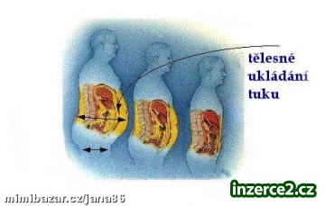 Nejen hubnutí_1 159650_1.jpg
