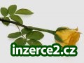 Práce řízená z domova_1 161305_1.jpg