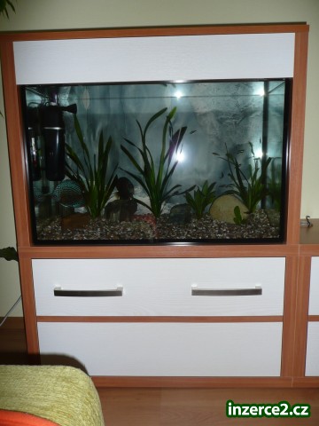 Akvarium_1 164226_1.jpg