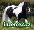 koně vanner cikánské jít_1 164823_1.jpg