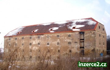 VÝKUP DŘEVA ZA NEJLEPŠÍ CENY V ČR._2 165689_2.jpg