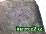 Písek stavební zásypovný_1 166476_1.jpg