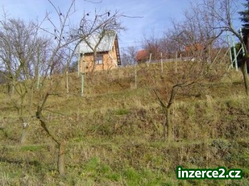167565_2.jpg
