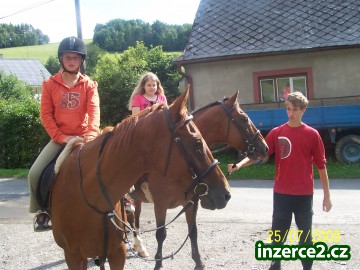 Ranč Mary- pobyty u koní_1 167595_1.jpg