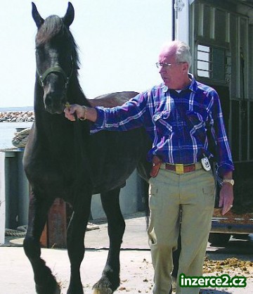 Krasna Freisian Žena adotion_2 168913_2.jpg