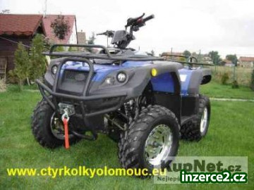 KINGWELL - JUMPER 300_1 169088_1.jpg
