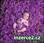 PRÁCE KTERÁ BAVÍ!_1 170949_1.jpg